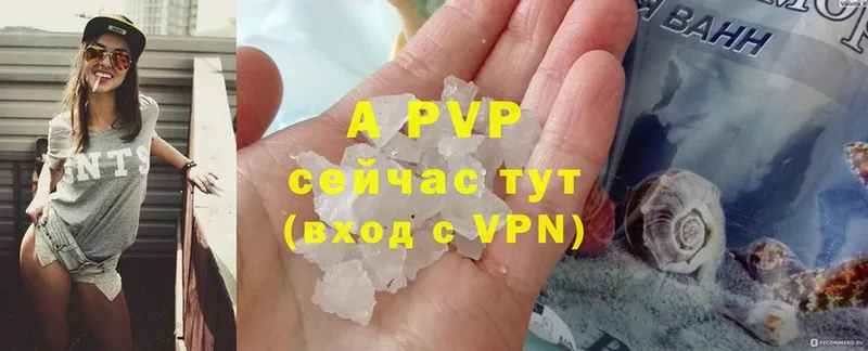 APVP СК КРИС Почеп